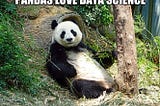 Just Basic Pandas(Bonus Included!)