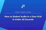 How to Embed Audio in a Data Grid in Under 60 Seconds