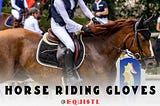 EQUISTL HORSE RIDING GLOVES FOR YOUR EQUESTRIAN JOURNEY