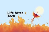What Happened to Tech Jobs? What Will You Do Next?