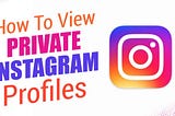 View Private Instagram Profiles Instantly — No Follow Required