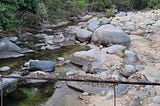 Low water, high bridge