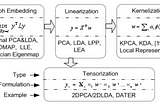 Graph Embedding and Extensions: A General Framework for Dimensionality Reduction