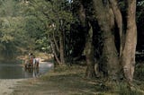 Rural Scenes from England Over 100 Years Ago