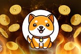 Is Baby Doge Coin Investment Worth?