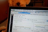 Working a late Saturday night in 2017. A picture of my work laptop displaying statistics. Cooper my Maltipoo peers over the back at me. Photo by author.