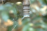 An old, dry, corroding tap with cobwebs around its spout.