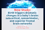 New Study: Birth triggers dramatic changes in a baby’s brain, including subcortical, sensorimotor…