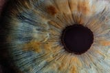 Blindsight: il fenomeno della visione cieca