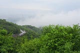 Trees and bushes on top of a hill with clouds in the background and a few cars driving on a winding road moving upwards.