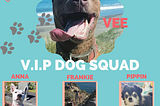 The V.I.P Dog Squad: Dogs doing Good