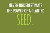 You may not always get to see the seeds you plant bloom, but…