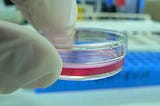 Cell Culture Confusion