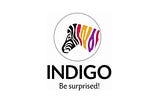 Indigo Paints- Be surprised!