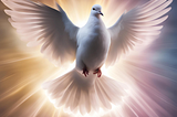 A white dove spreads its wings that shine in the light.