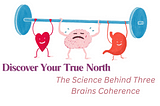 Discover Your True North: The Science Behind Three Brains Coherence