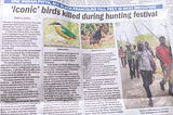 Aves Icónicas Asesinadas Durante el Festival de Caza