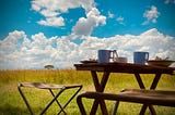 Image shows an African safari “bush breakfast” 2 camping chairs and a folding table are set in front of tall grass. On the table there are bowls and plates of varying sizes and two mugs. In the background, there is a bright blue sky dotted with white, fluffy clouds