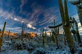 Arizona’s Moods