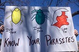 A “No Kings” protester in St. Louis holds up a sign “Know Your Parasites,” showing three examples: a Dog Tick (outlined and colored in yellow), a Deer Tick (outlined and colored in green), and a Luna-Tic.” The latter is an outline of Donald Trump’s head, with the face colored in orange. (Photo by author.)