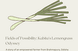 Fields of Possibility: Kabita’s Lemongrass Odyssey