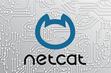 Offensive Netcat/Ncat: From Port Scanning To Bind Shell IP Whitelisting