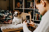 10 Quick Wins to Increase Engagement Rate on Instagram