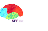 My Experience at SEF (Sustainable Education Foundation)-Developers Team