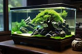 Cute Fish Tank Decor For Corporate Spaces with Bonsai Driftwood Aquarium Tree Elegance