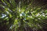 Growth Mindset: The Perils of a Good Research Story