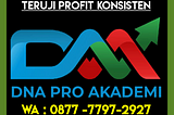 DNA Pro Akademi Robot Trading Forex DIREKOMENDASIKAN, Hub WA 0877–7797–2927 ( Bpk Yose ), Robot…