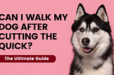 Can I Walk My Dog After Cutting the Quick? The Ultimate Guide