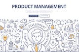 PM in an early-stage startup