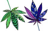 The origin of 420 and cannabis culture in Australia.