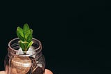 A hand is holding a tiny little jar filled with coins and there is a sprout growing out of it.