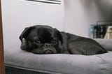 The Virtue of a Boring Life