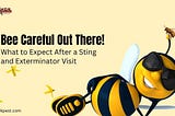 Bee Careful Out There! What to Expect After a Sting and Exterminator Visit — Penzu