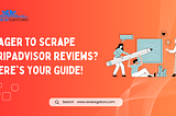 Eager to Scrape TripAdvisor Reviews? Here’s Your Guide!