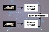 What are Siamese Neural Networks in Deep Learning?