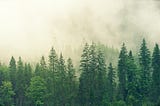 Testing your front end code with cypress