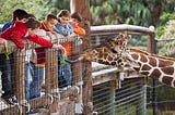 Woodland Park Zoo, Seattle, USA : Everything You Need To Know