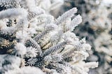 Winter’s Grip