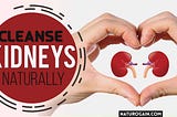 Cleanse Kidneys Naturally