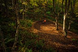 Mountain Bikers: Masters of Meditation