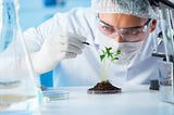 The Promise of Biotech and Food Production