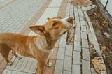 How can we make asking easier?
