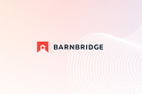 Introducing BarnBridge