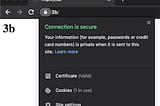 Using HNS websites securely