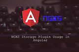 NGXS Storage Plugin Usage in Angular