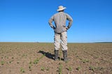 U.S. experiences 12th driest winter on record, crop yield under stress